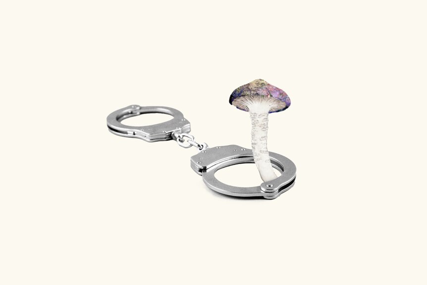 A collage of a multi-coloured mushroom growing out of a black and white image of a pair of handcuffs. 
