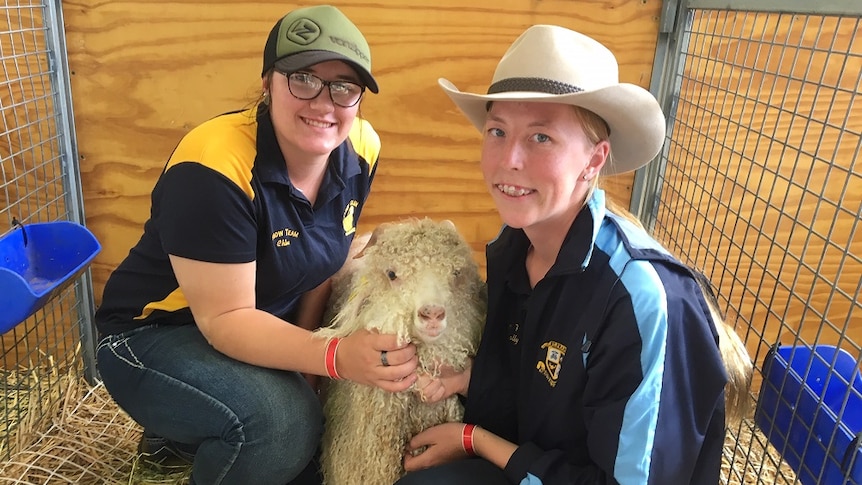 Two young woman in a pen with an Angora goat at the Royal Easter Show
