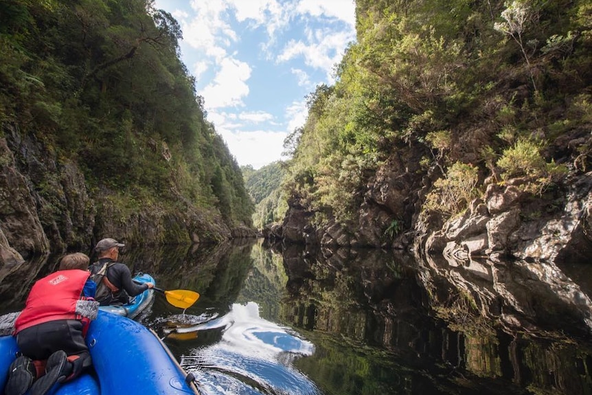Kayaking in a gorge, surrounded by bushland