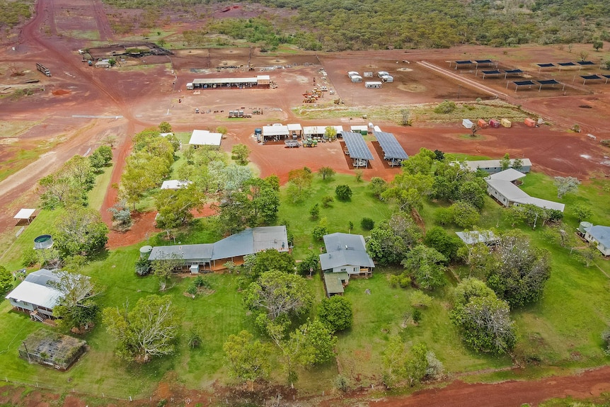 An aerial view of a station homestead and a cattle feedlot.