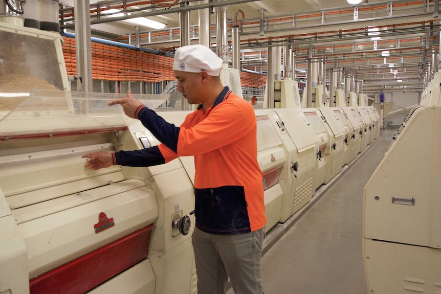 Peter Cobb lifts a door to check the wheat grinder.