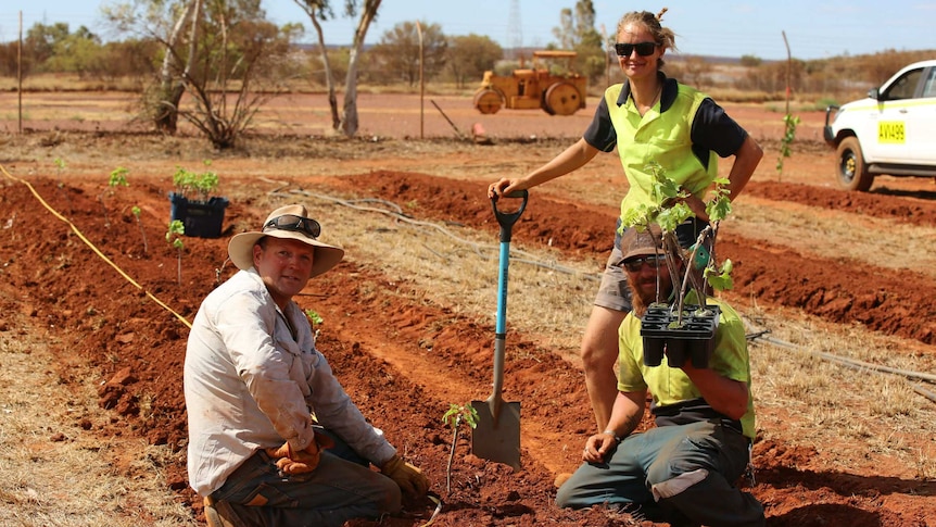 A man sits on a red dirt bed next to a sapling, with a man and a woman in high-vis shirts, one holding saplings in a punnet.