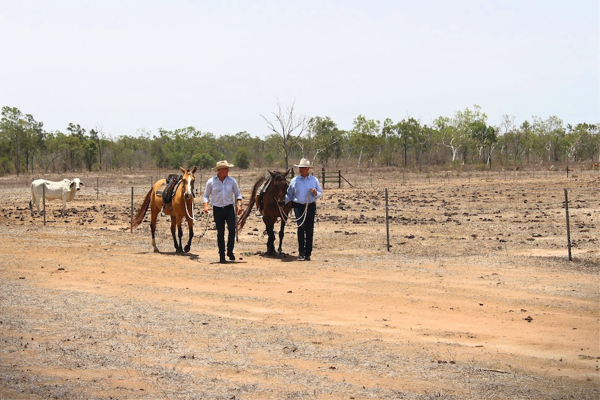Bob Katter wears a blue button up Shirt and cowboy hat and leads a horse with another man on a cattle station