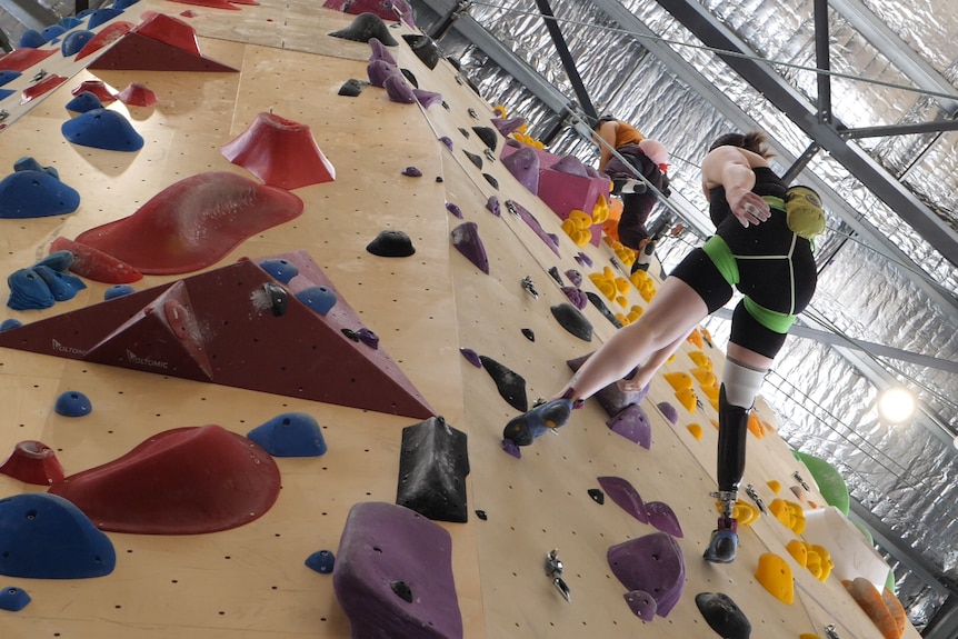 Australian paraclimber Sarah Larcombe climbs a wall at Urban Climb, Blackburn.