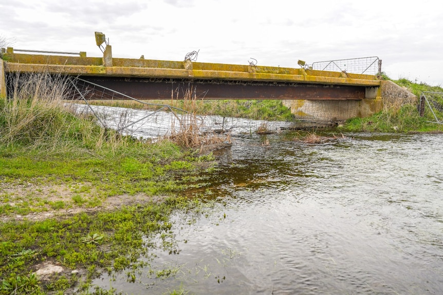 A body of water with vegetation, a concrete bridge spanning across.