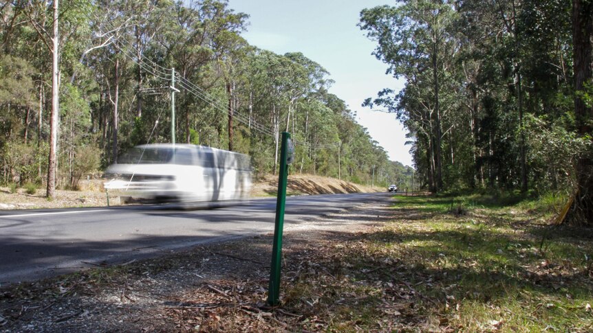 Blurred image of car travelling past a green post on a forest road
