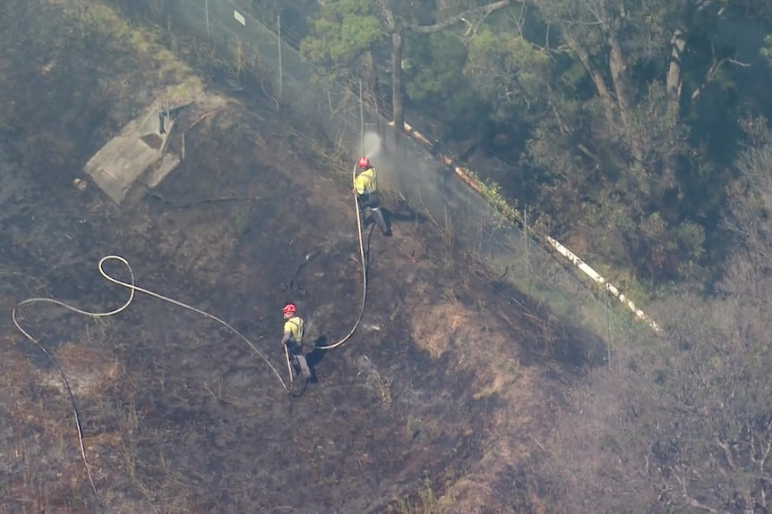 Two men in hi-vis clothing hold a hose being sprayed on a fence in bushland, as seen from above.