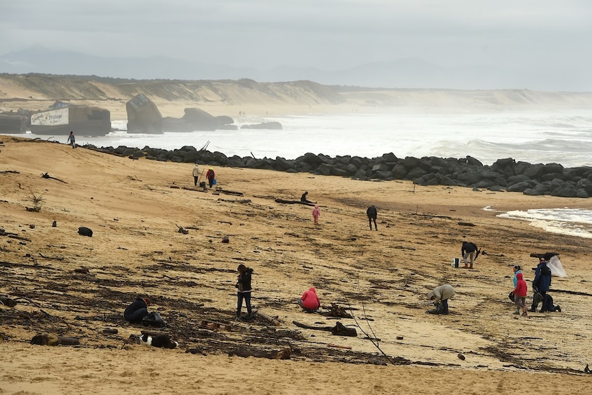 People with bags at the beach.