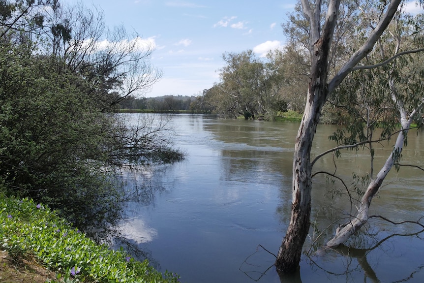 A full river.