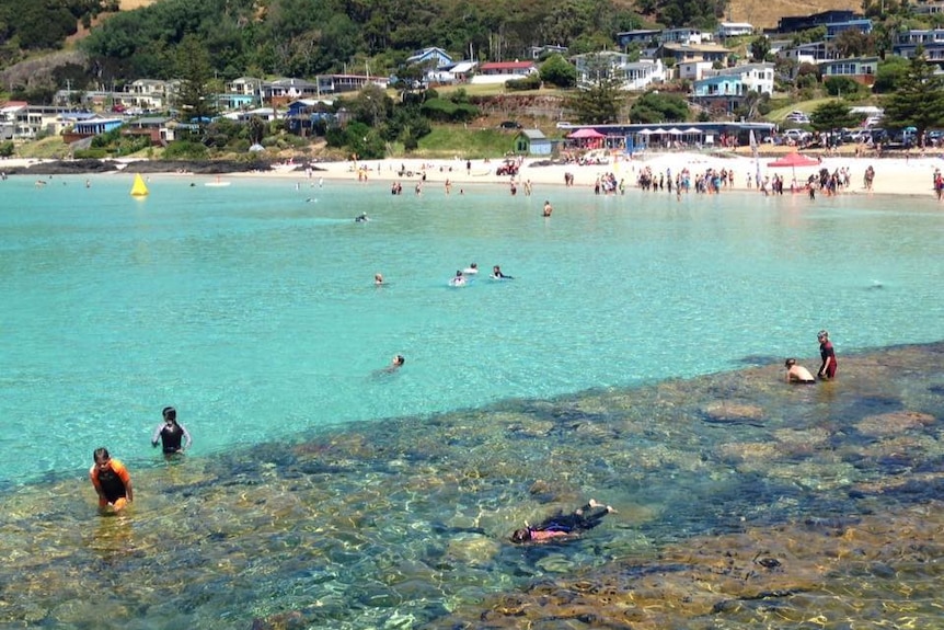 Boat Harbour is renowned for its white sands, clear water and captivating views.