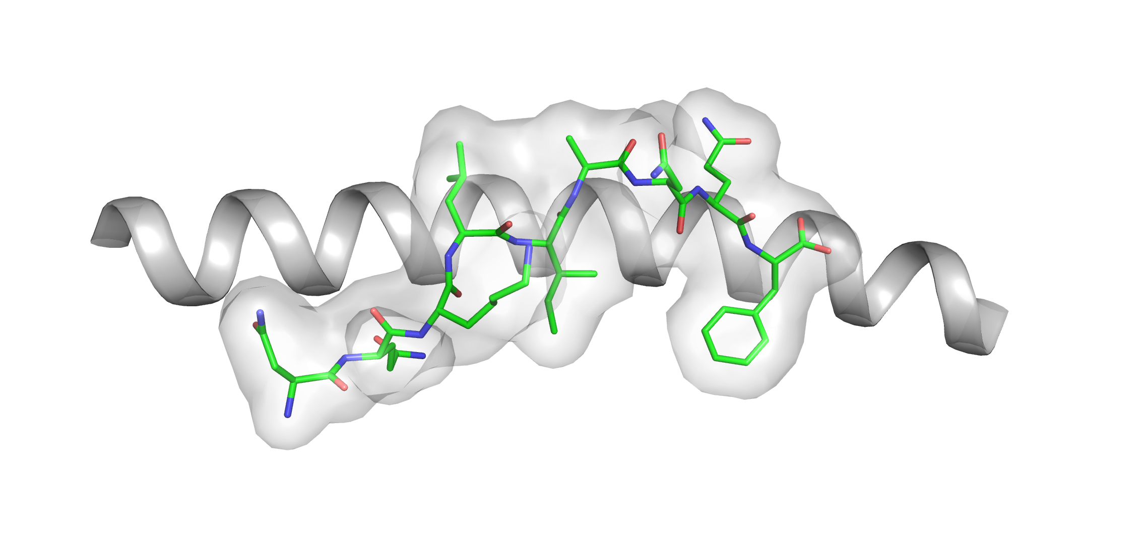 Graphic showing part of HLA-B25 binding part of SARS-CoV-2