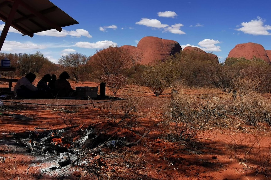 Kangaroo tails cooking at a popular tourist look out at Kata Tjuta. There is a small picnic near the fire.