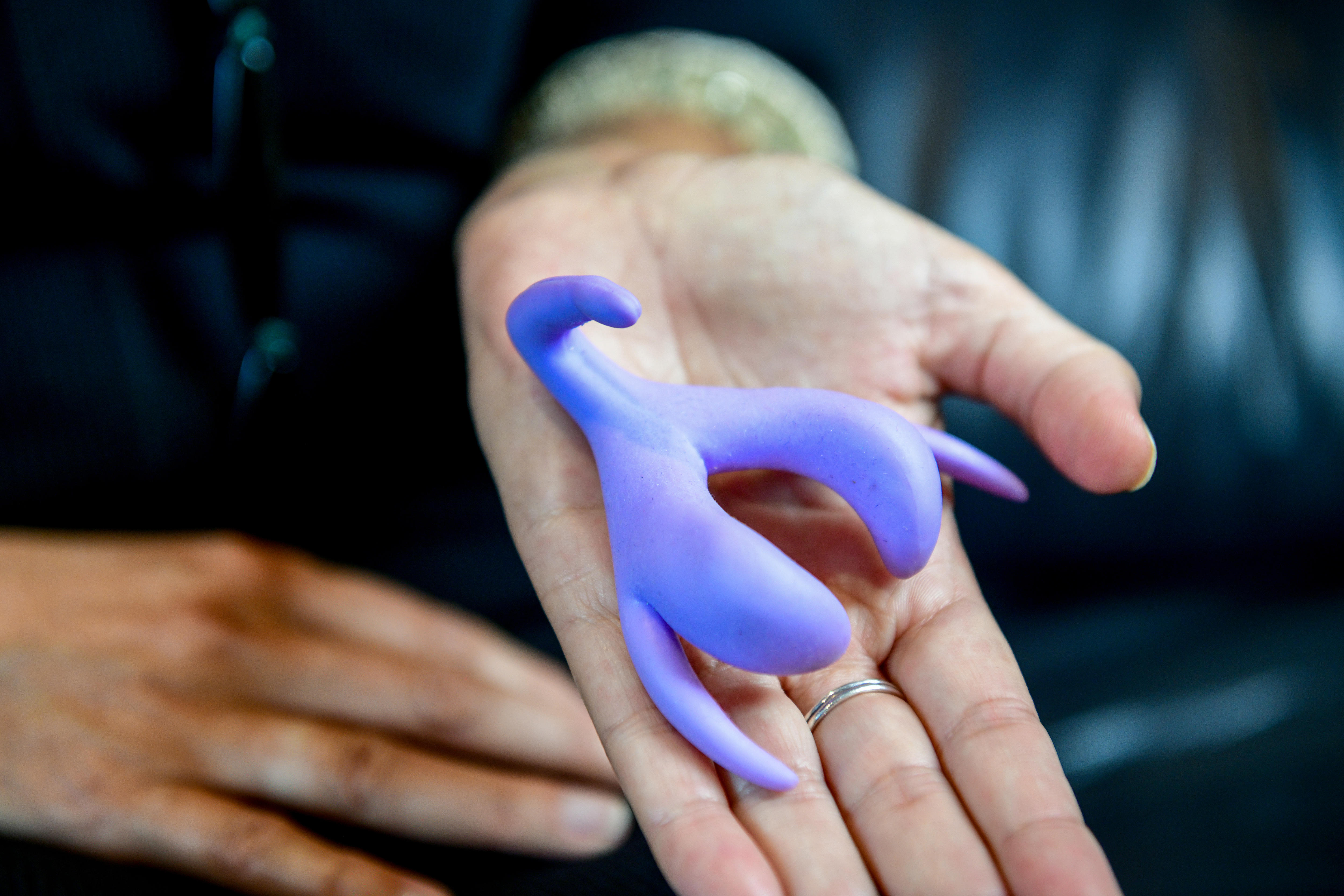 A hand holding a model of a clitoris.