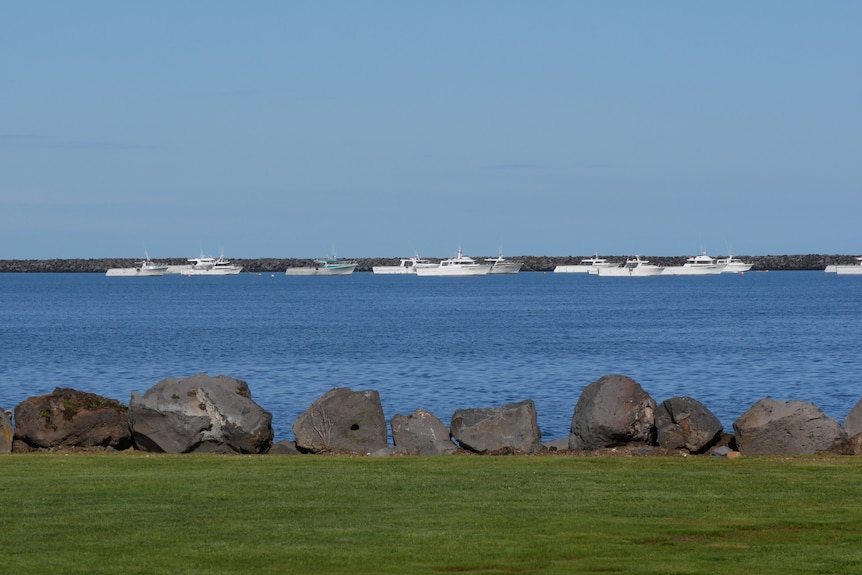 Boats moored in a harbour with rocks and grass in the foreground. Breakwater in background.