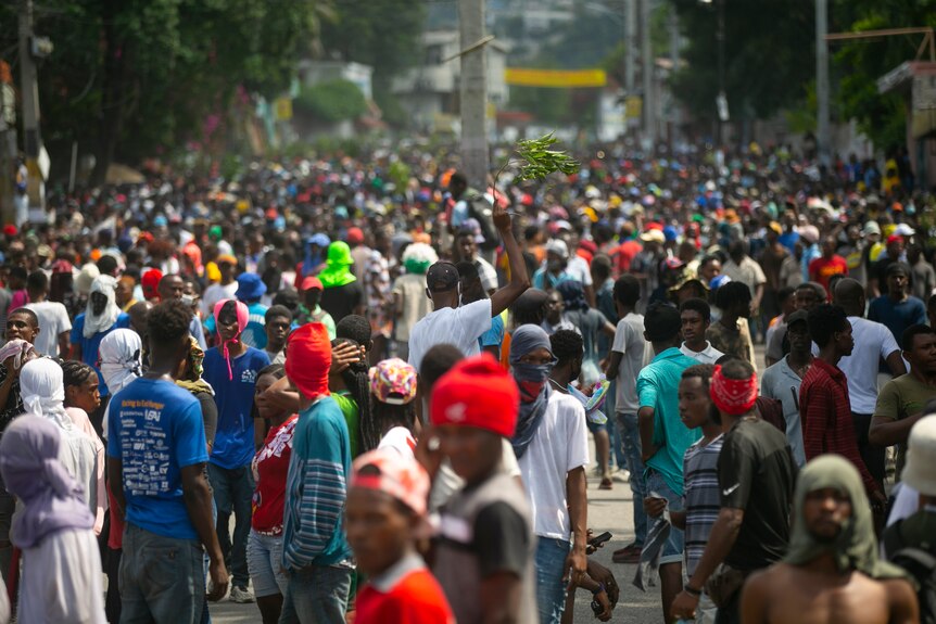 demonstrators stand in the streets of haiti