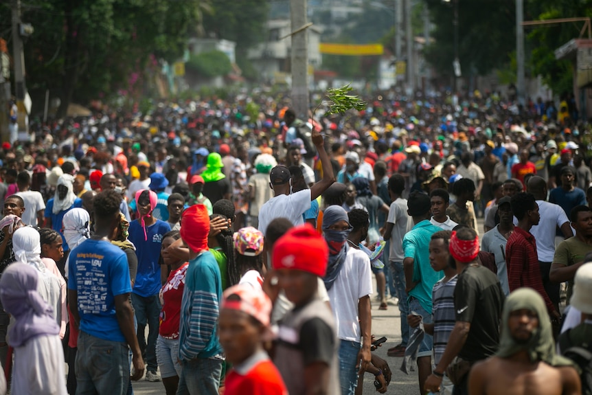 Des manifestants se tiennent dans les rues d'Haïti