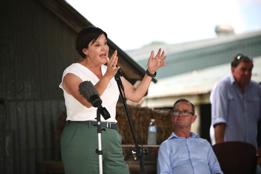 A woman speaks at a microphone