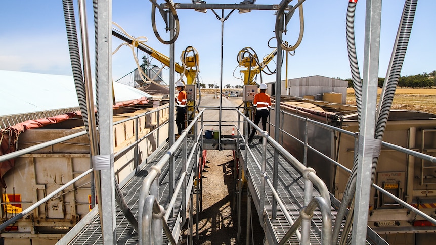 Staff working on a weighbridge at a northern Victorian grain receival site.