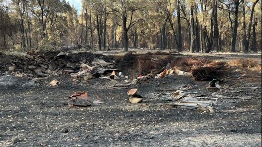 Burnt bushland and trees
