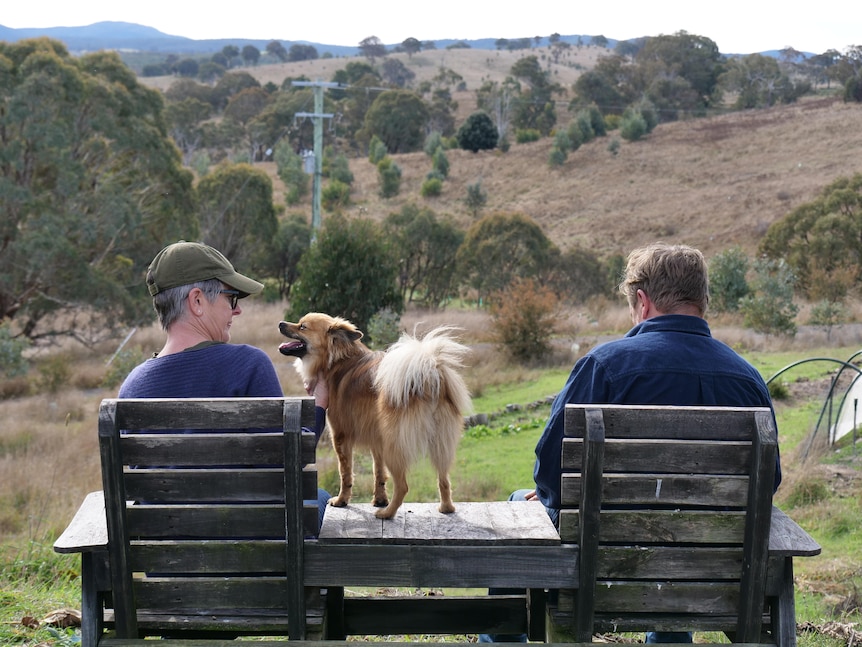 A woman sits on a wooden chair with a friend and a dog