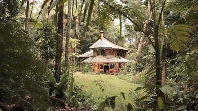 An eco home sits amongst trees