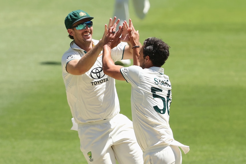 Mitchell Starc and Mitchell Marsh high-five after a wicket