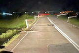 A small crocodile sitting on the edge of a road at night.