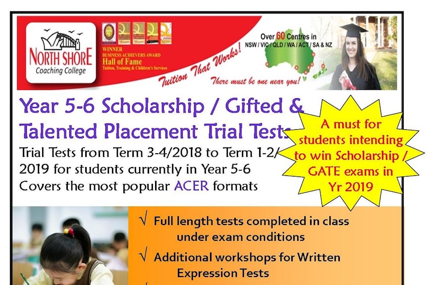 A screenshot of a website offering gifted and talented education tutoring.
