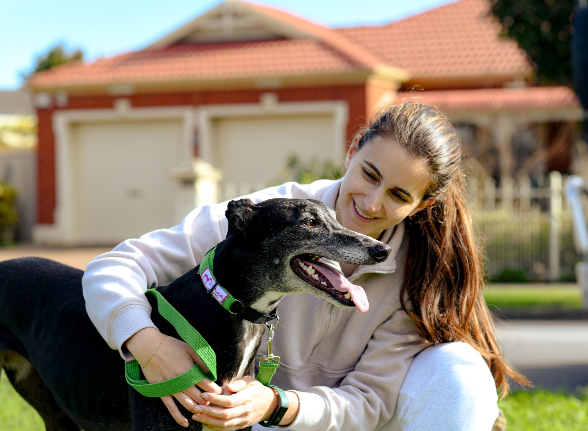 Angle Park Greyhound Adoption Centre seeks forever homes for adaptable & adoptable ex-racing dogs