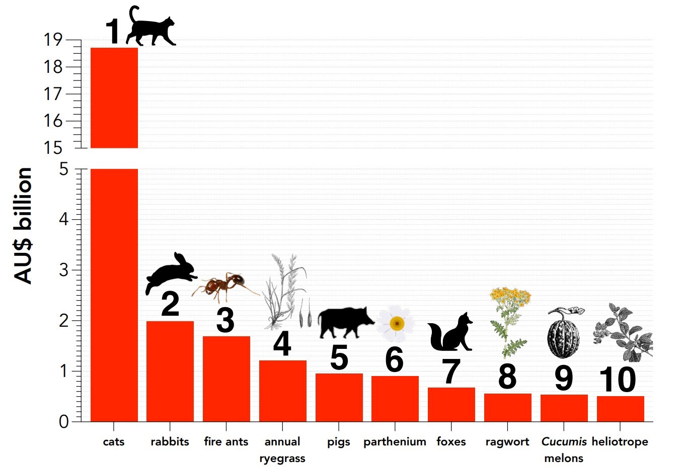 A graph showing financial costs of invasive species, with cats showing they cost the most