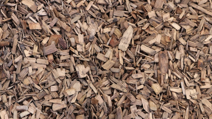 Woodchips from a sawmill