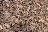 Woodchips from a sawmill