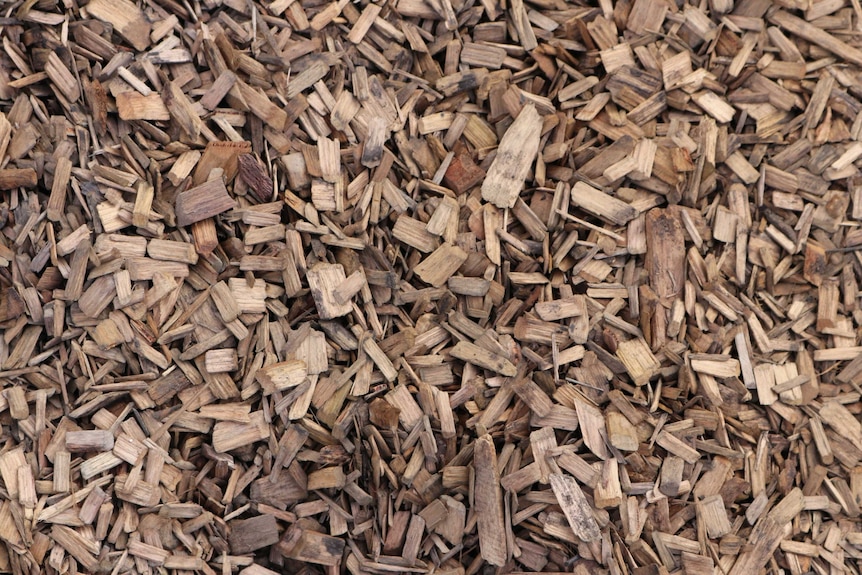 Woodchips from a sawmill