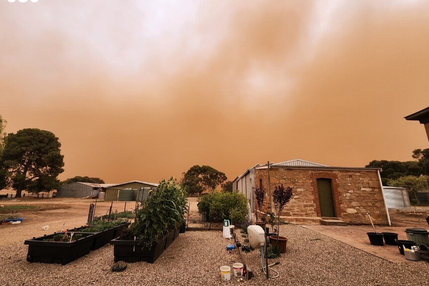 a dust storm blows over a house and backyard in appila in south australia