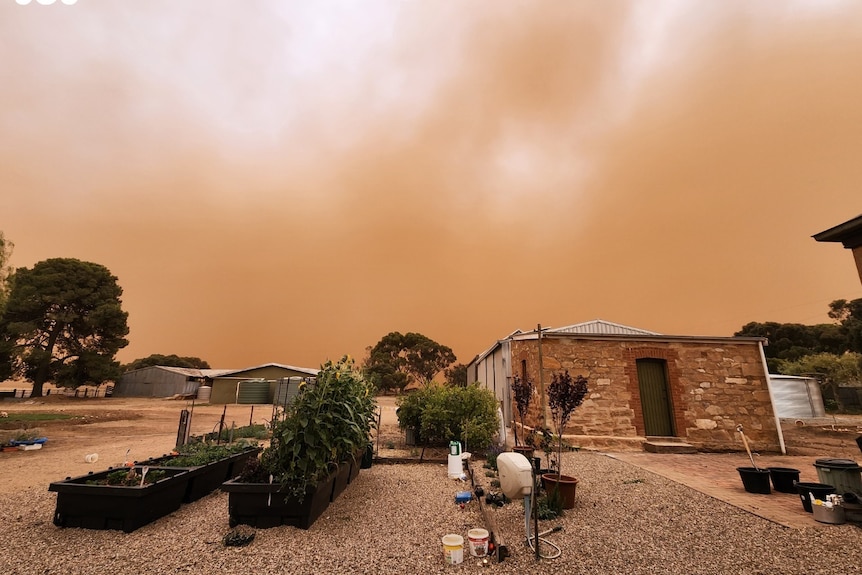 a dust storm blows over a house and backyard in appila in south australia