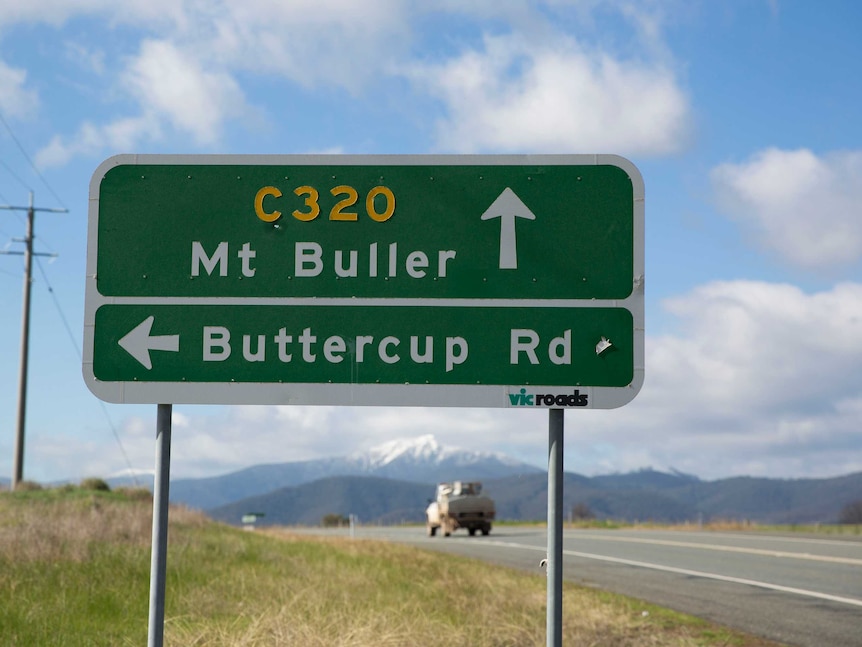 A ute drives towards Mount Buller in Victoria's alpine country