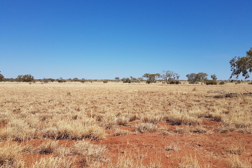 a homestead in the middle of red dirt and trees.