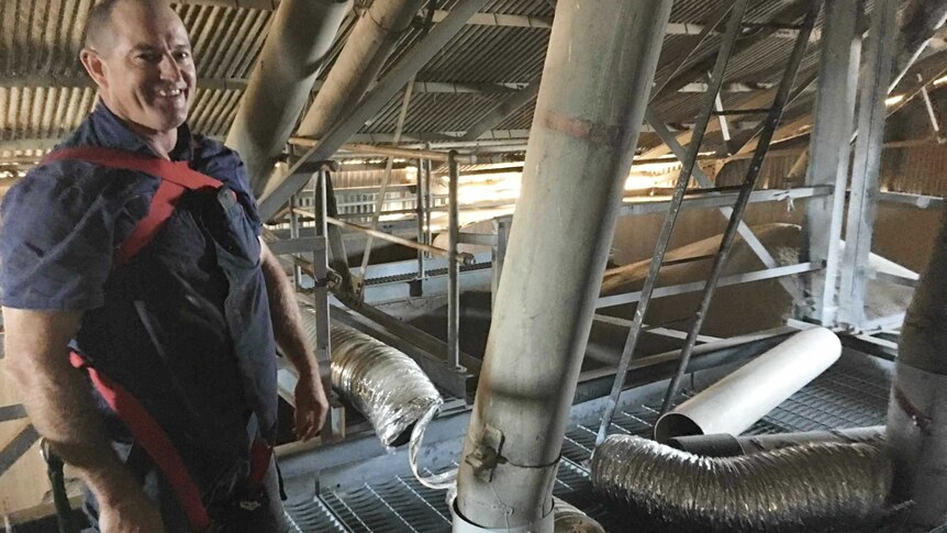 A man with a safety harness around him stands in front of pipes and tubes and a pile of grain