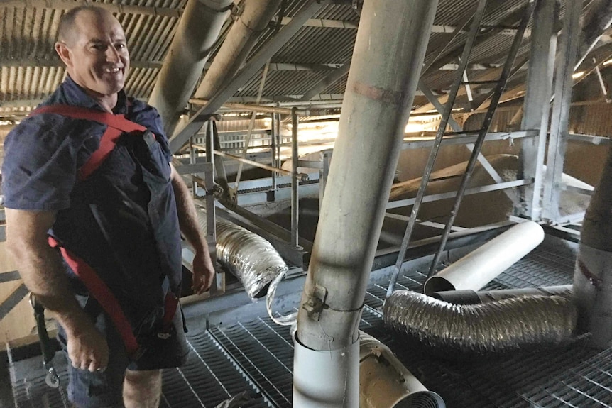 A man with a safety harness around him stands in front of pipes and tubes and a pile of grain