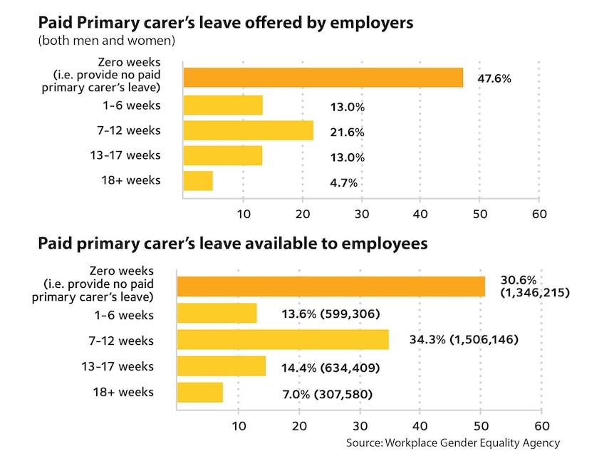 chart showing carer's leave offered to employees.
