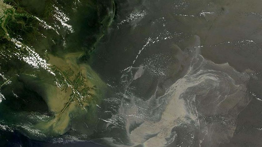 Satellite image of the oil slick from the Deepwater Horizon explosion.