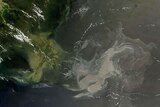 Satellite image of oil slick from the Deepwater Horizon explosion in the Gulf of Mexico.