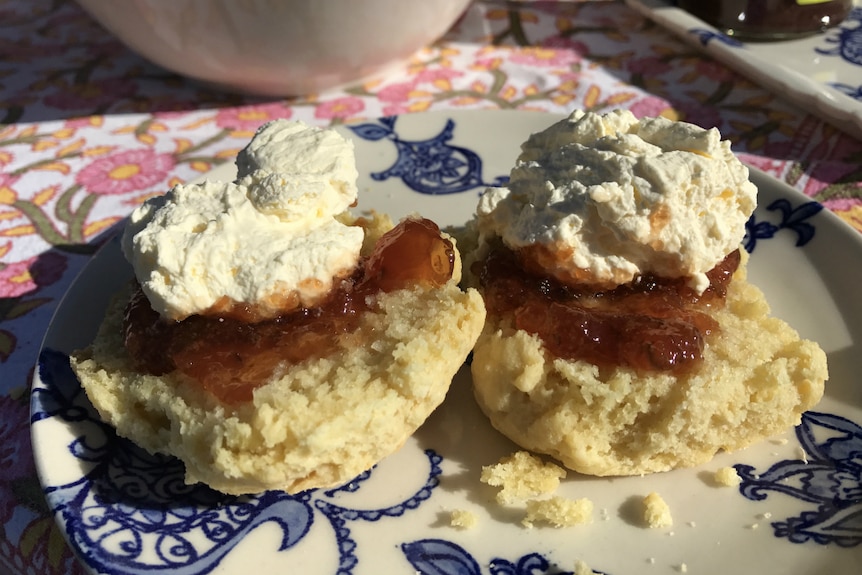 Scones with jam and cream on a pretty blue and white plate.