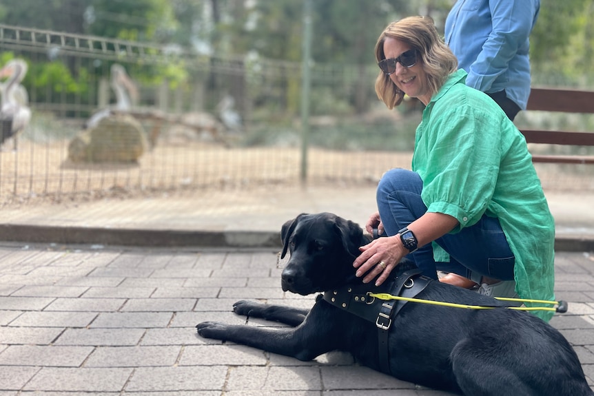 A woman pets a black assistance dog on the ground while a person stands next to her