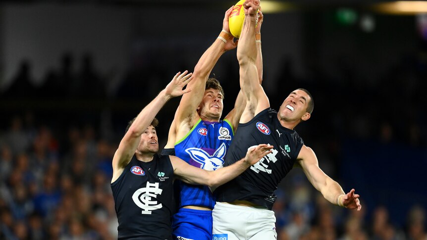 A North Melbourne player and two Carlton players leap and reach for the football
