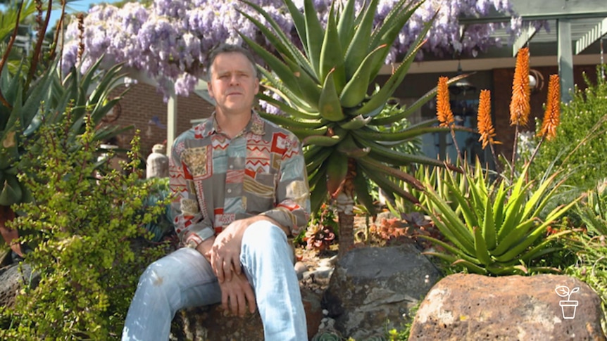 Man sitting on rock in garden