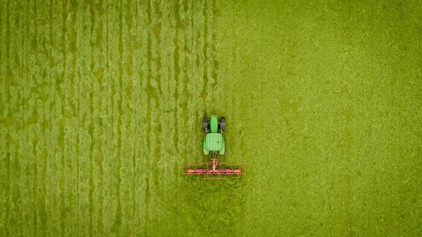 A drone photo of a tractor making silage.