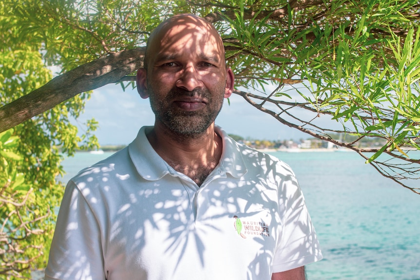 A Mauritian man in a white polo shirt stands under a tree on a beach.