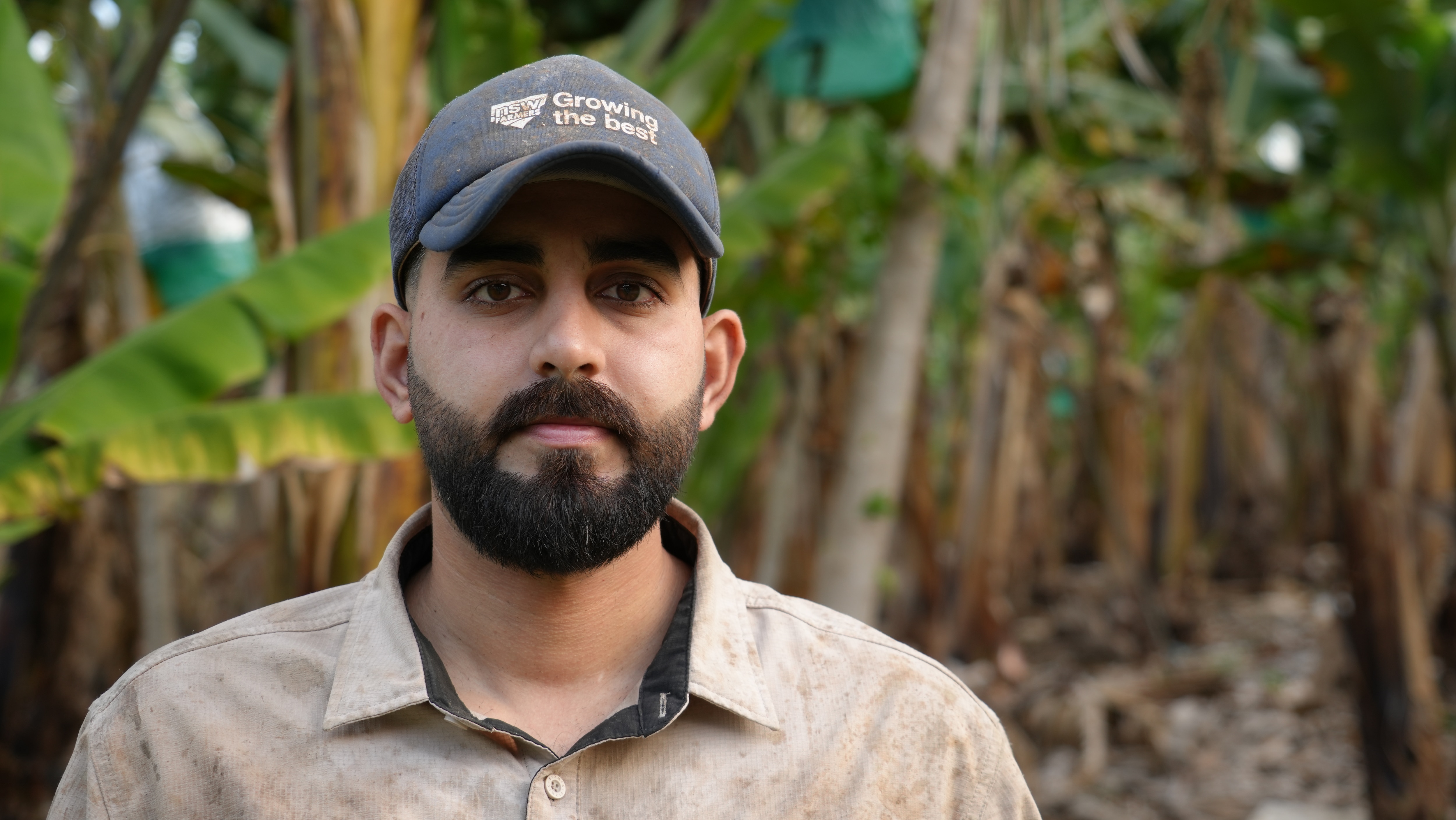A farmer wearing a beige shirt looks into the camera seriously, standing in front of his banana crops