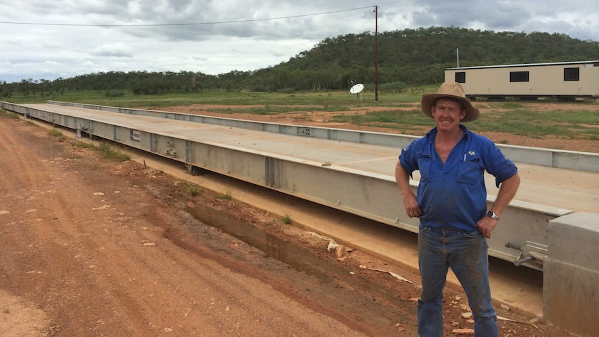 Cattle producer standing next to weighbridge